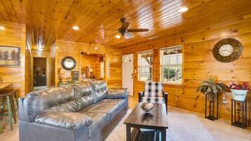 Televisión y chimenea