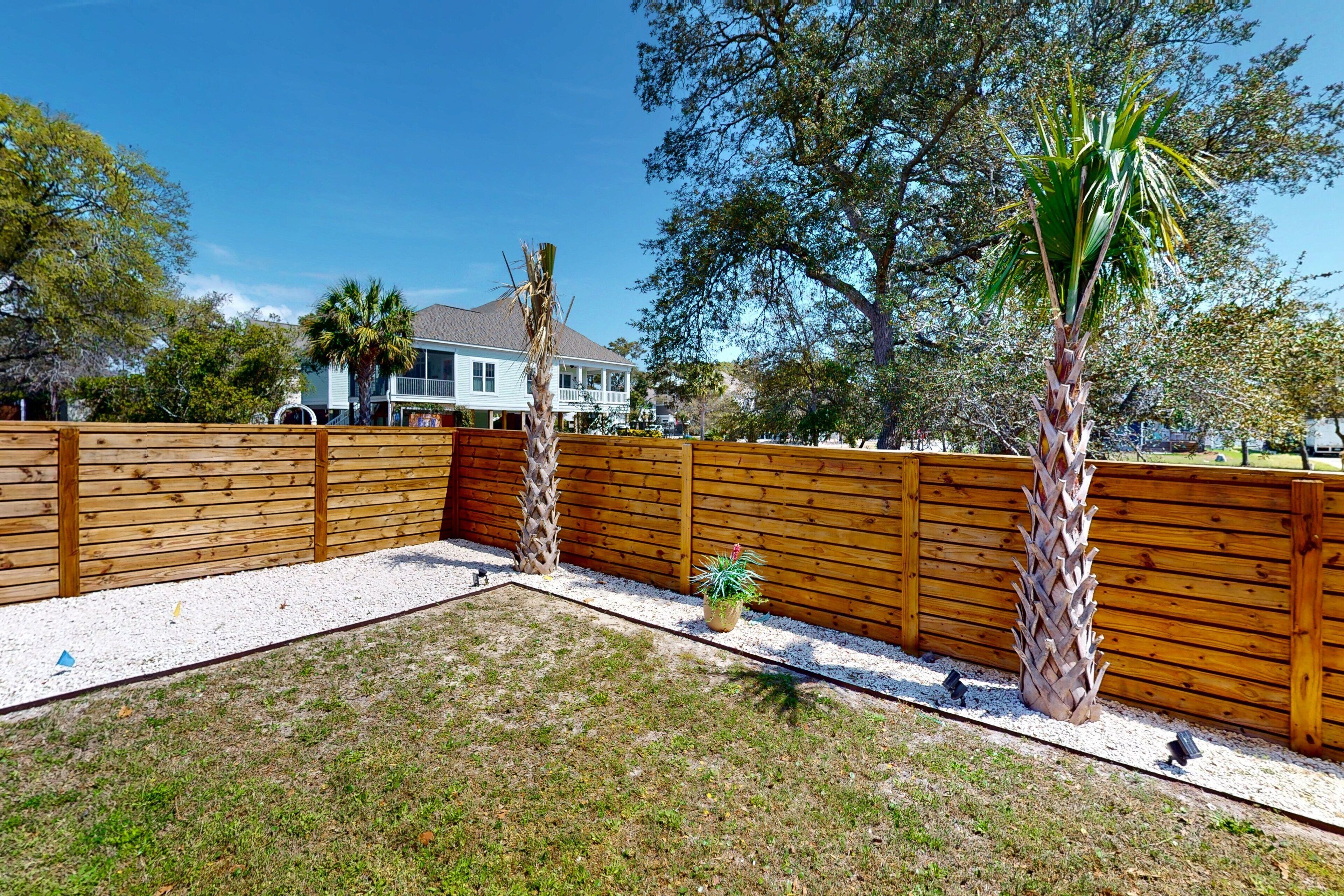 A fenced backyard with a wooden fence, a palm tree, and a potted plant.