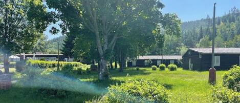 A rural setting with a large tree, a small building, and a grassy area.