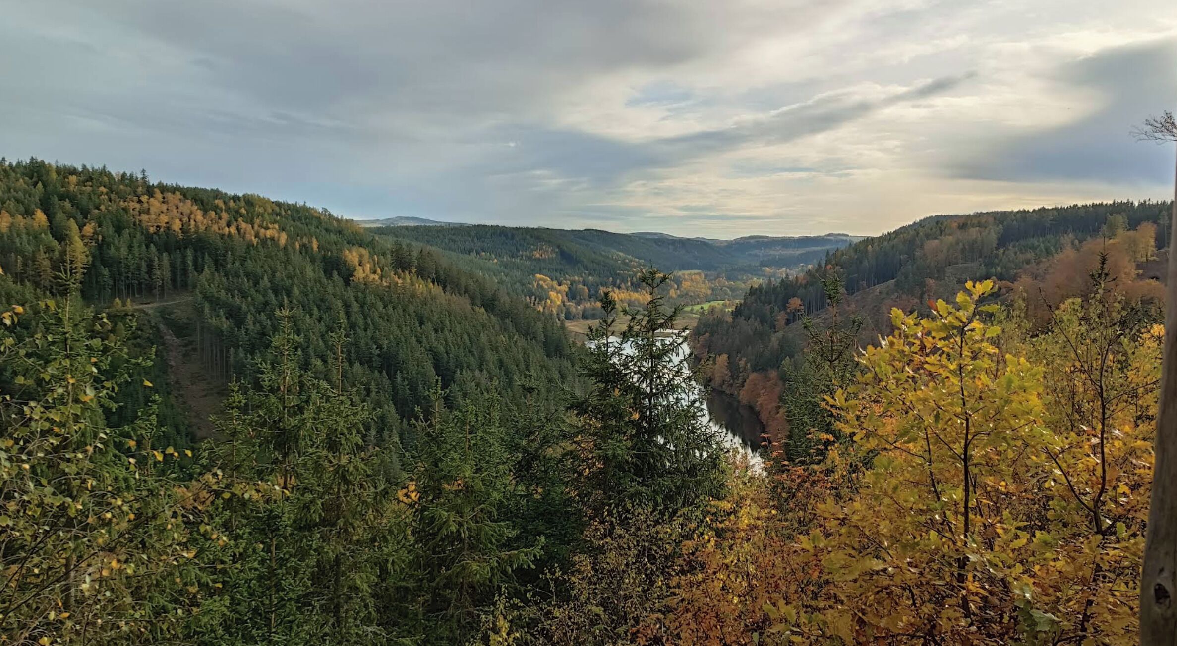 Un paisaje montañoso con densos bosques y un río.