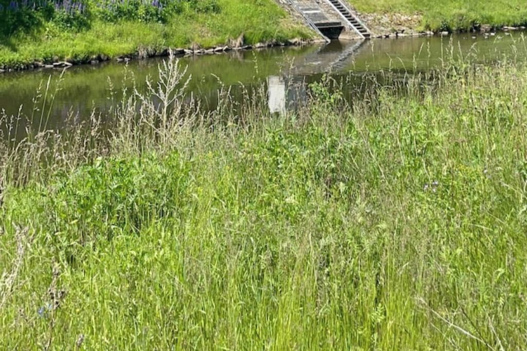 A calm river with a small bridge and lush greenery.