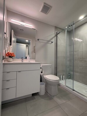Shower, hair dryer