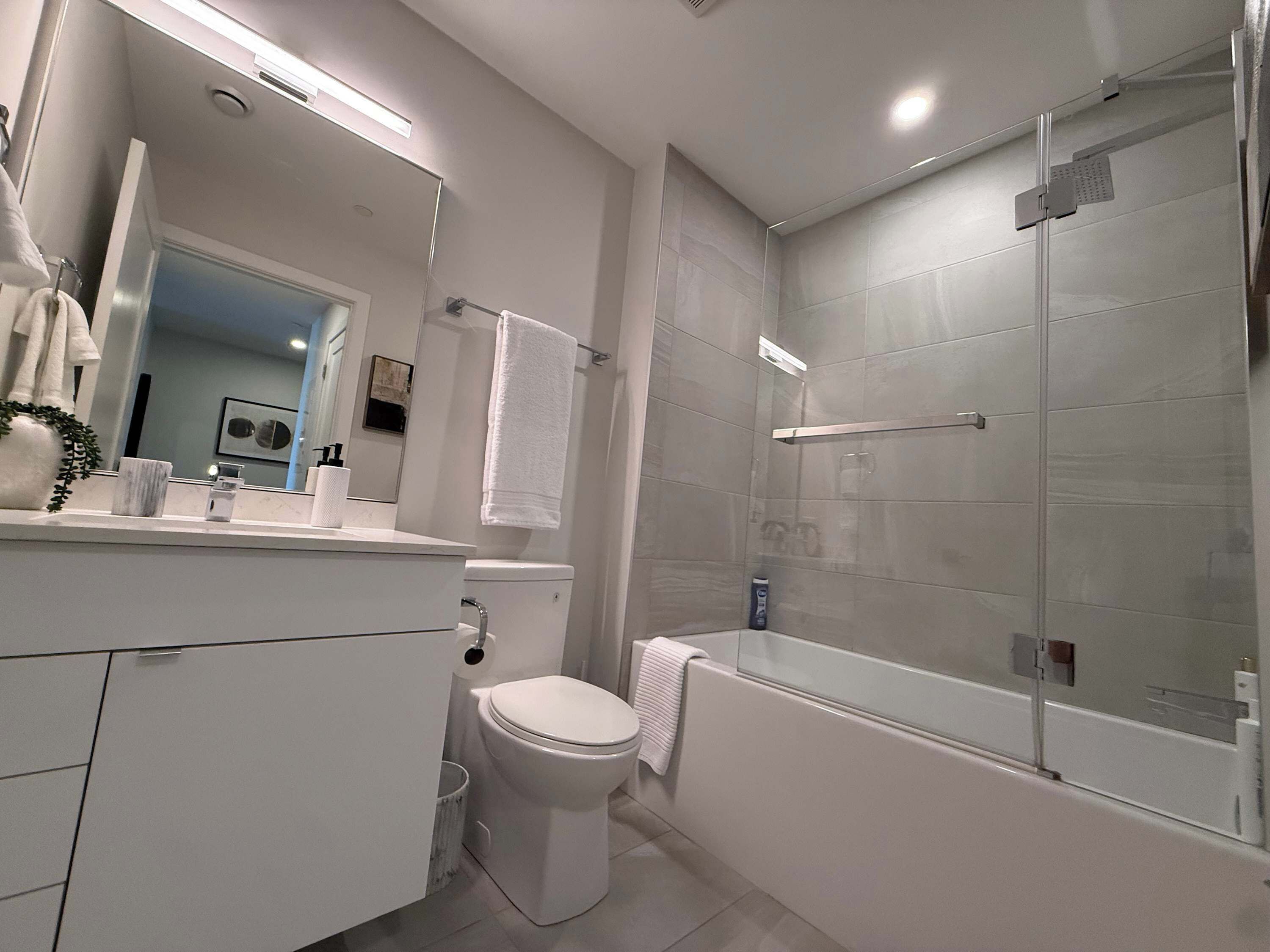 Shower, hair dryer
