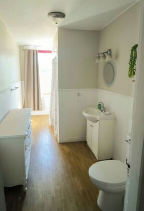 Shower, towels, soap, toilet paper - Cottage in a small fishing port (Port Elgin)