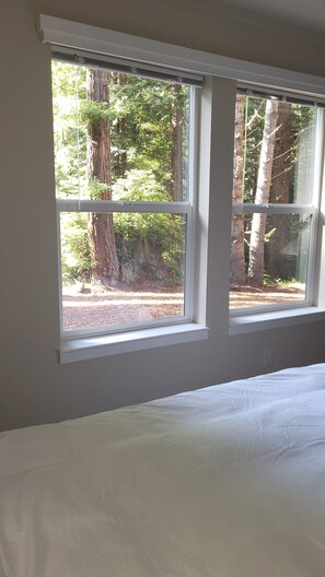 2 bedrooms, iron/ironing board, free WiFi, bed sheets - Fieldbrook Cottage in Redwood Forest (McKinleyville)