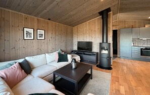 智能電視、壁爐