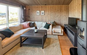 تلفزيون ذكي، مدفأة