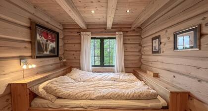 Lovely home in Sjusjøen with sauna