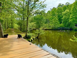Property grounds - Water surrounded cabin getaway with sauna, hot tub, wild life and private island (Blue Ridge)