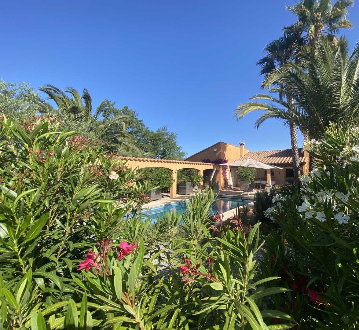 A pool area with a pergola, surrounded by lush greenery and palm trees.