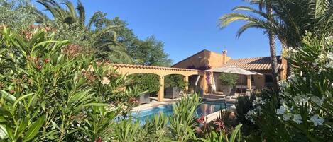 A pool area with a pergola, surrounded by lush greenery and palm trees.