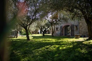 Property grounds - Ca la Catherine - CERET (CERET)