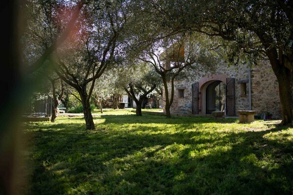 Property grounds - Ca la Catherine - CERET (CERET)