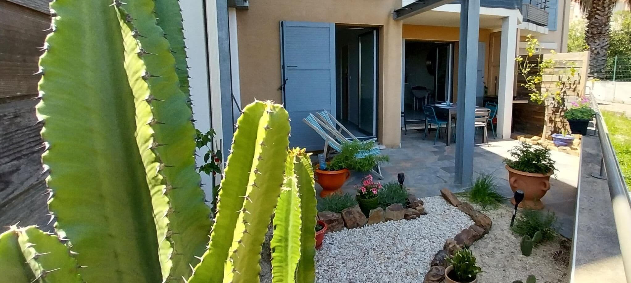 Terraza o patio