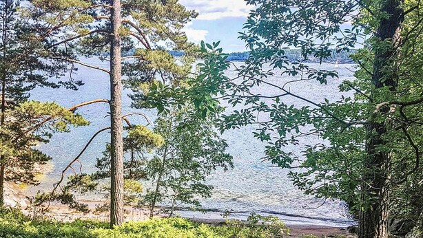 A natural landscape with a lake, trees, and a path leading to the water. - 4 Star Holiday Home in Stavsnas (Stavsnäs)