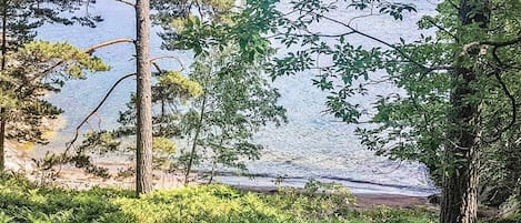 A natural landscape with a body of water, trees, and a clear sky.