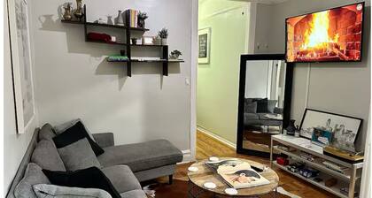 Entire Cozy Conveniently Located NYC Apartment