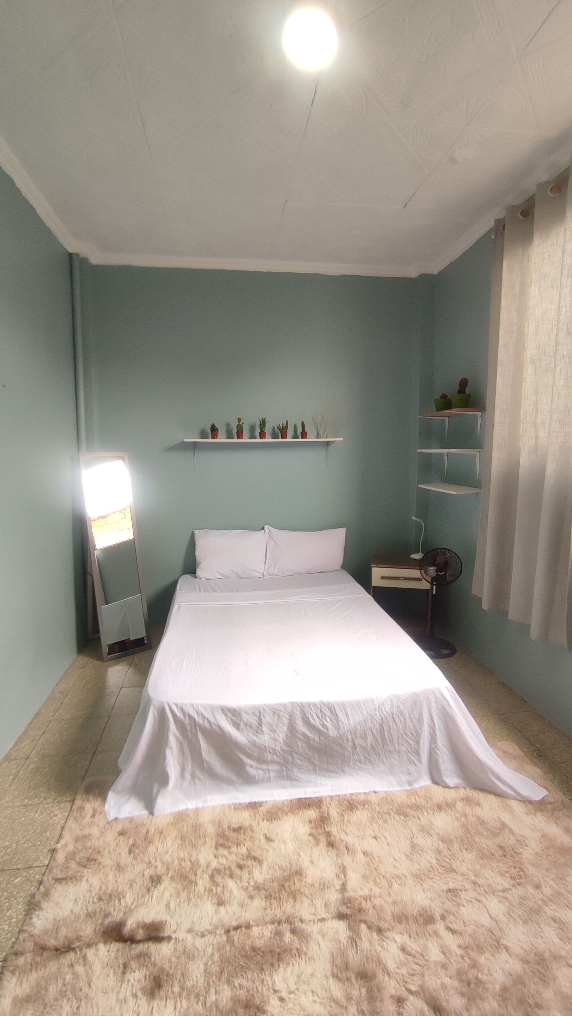 A bedroom with a bed, a mirror, a fan, and shelves with plants.