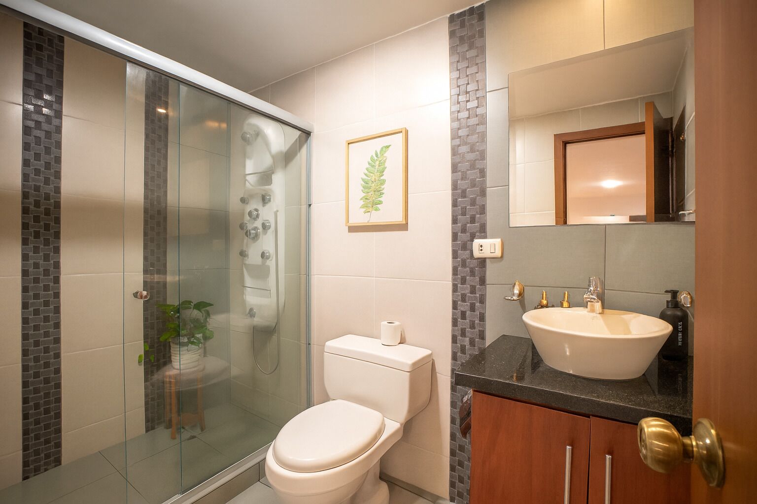 Hair dryer, towels, soap, toilet paper