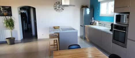 A modern kitchen with stainless steel appliances, a wooden dining table, and a potted plant.