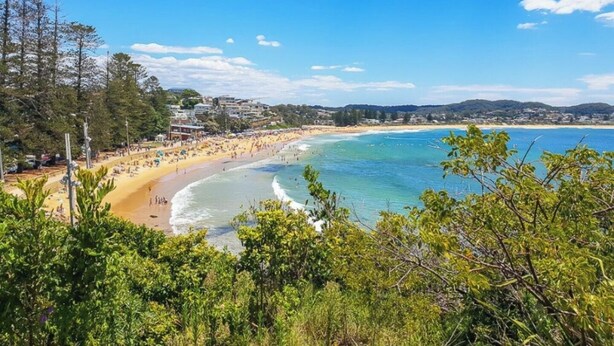 A coastal beach with clear skies, a sandy shore, and dense greenery.
