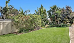 A well-maintained lawn with a variety of tropical plants and a wooden fence.