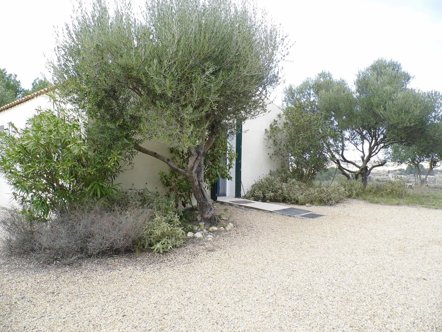 A building with a gravel driveway and a tree in front.