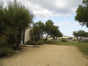 Property grounds - Merlot - MONTAGNAC (MONTAGNAC)