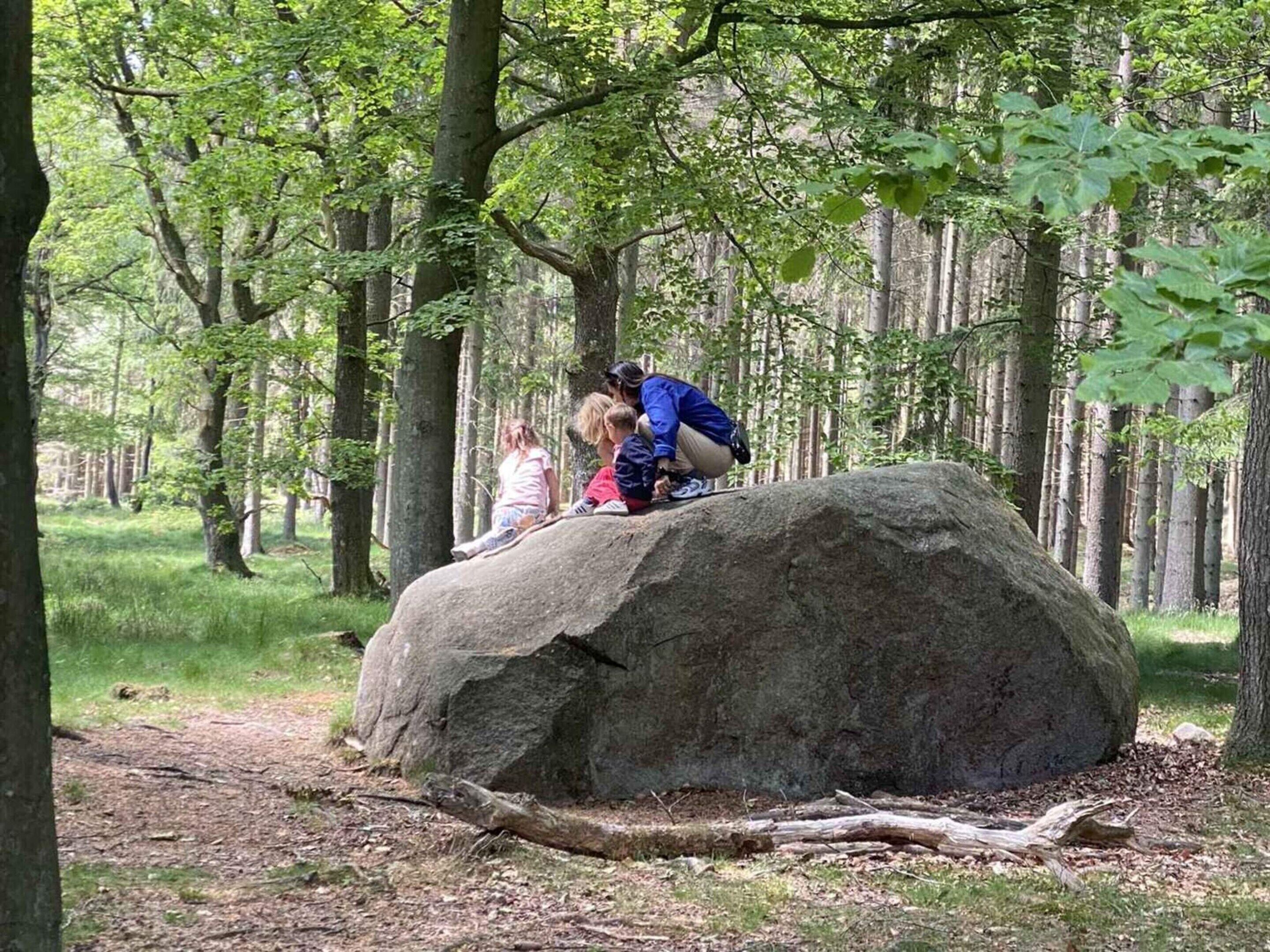 A large rock formation in a forest with trees in the background.