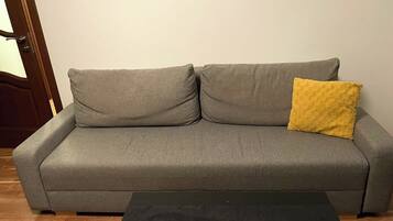 Televisión y libros