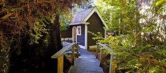 🌲 New Mgmt! Serene Redwood Retreat: Idyllic redwood views in spacious studio home