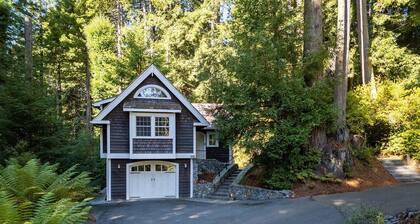 🌲 Newly Mgmt! Serene Redwood Retreat: Idyllic redwood views in spacious studio home