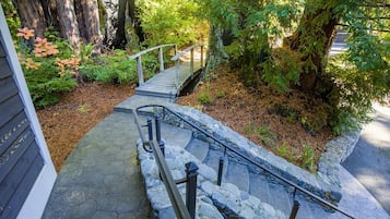 Terrain de l’hébergement