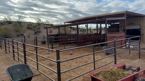 A stable with a horse inside, surrounded by metal fencing and hay bales.