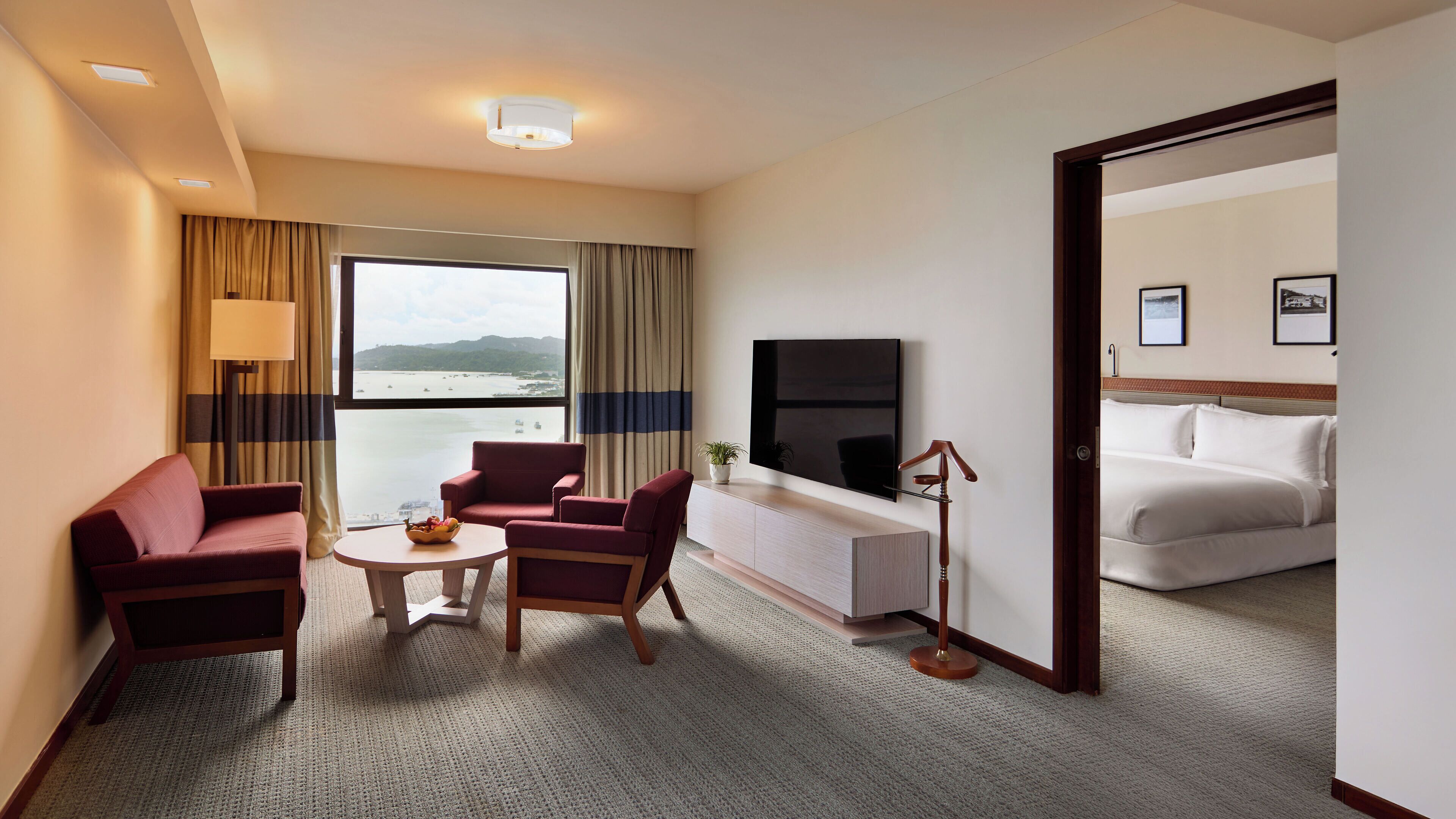 65-inch flat-screen TV with satellite channels