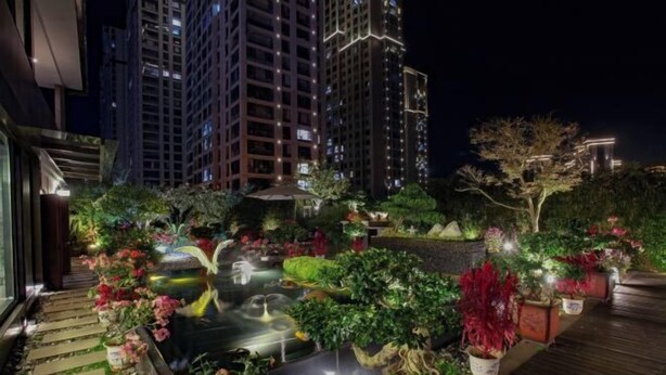 A rooftop garden with a pond, various plants, and a wooden deck.