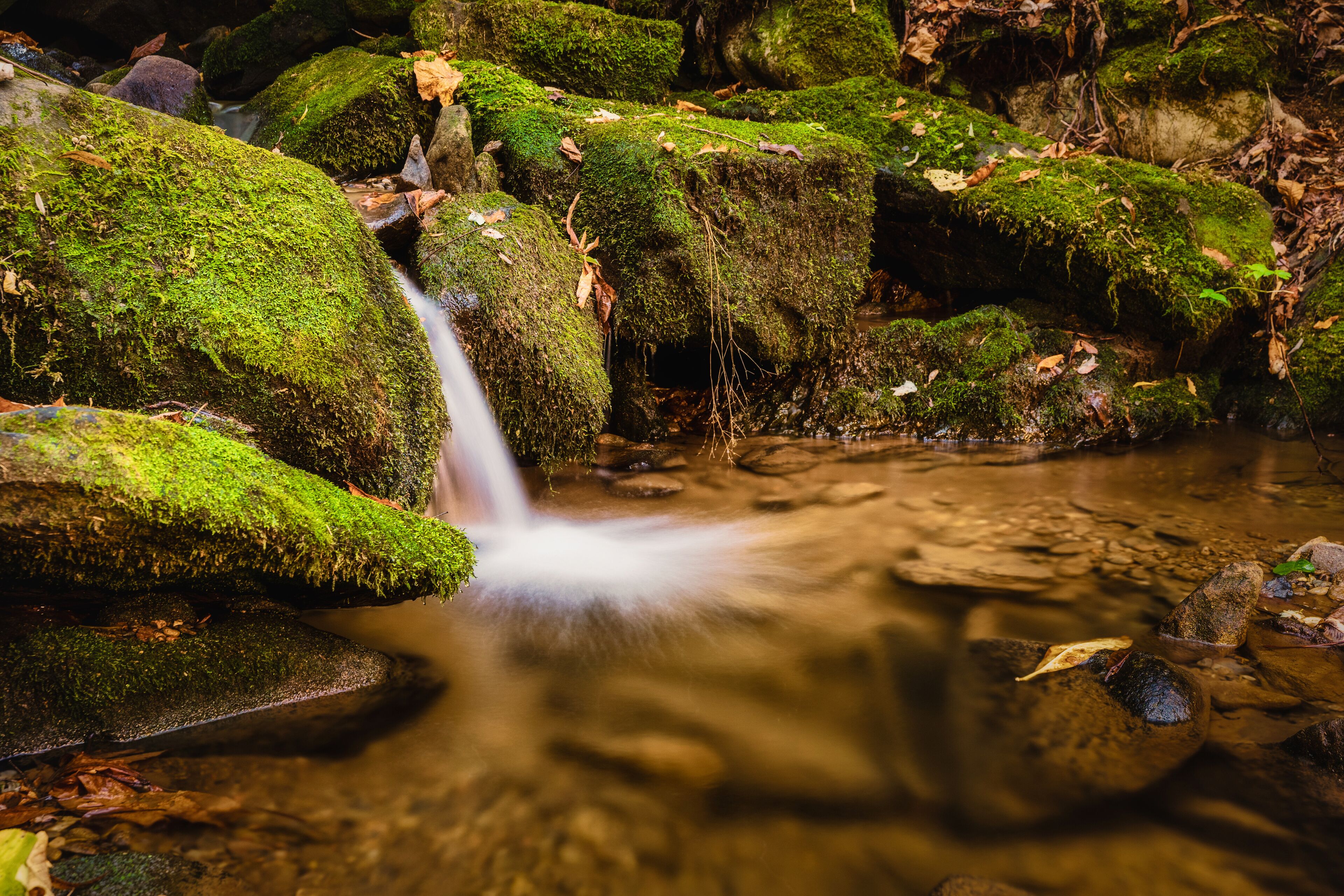 A natural scene with a small waterfall flowing over moss-covered rocks in a forested area.