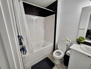 Hair dryer, towels, soap, toilet paper