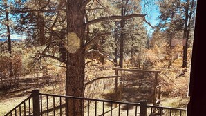 A wooden deck with a metal railing, surrounded by trees and a clear sky. - Serene 4-bedroom house in Durango (Durango)