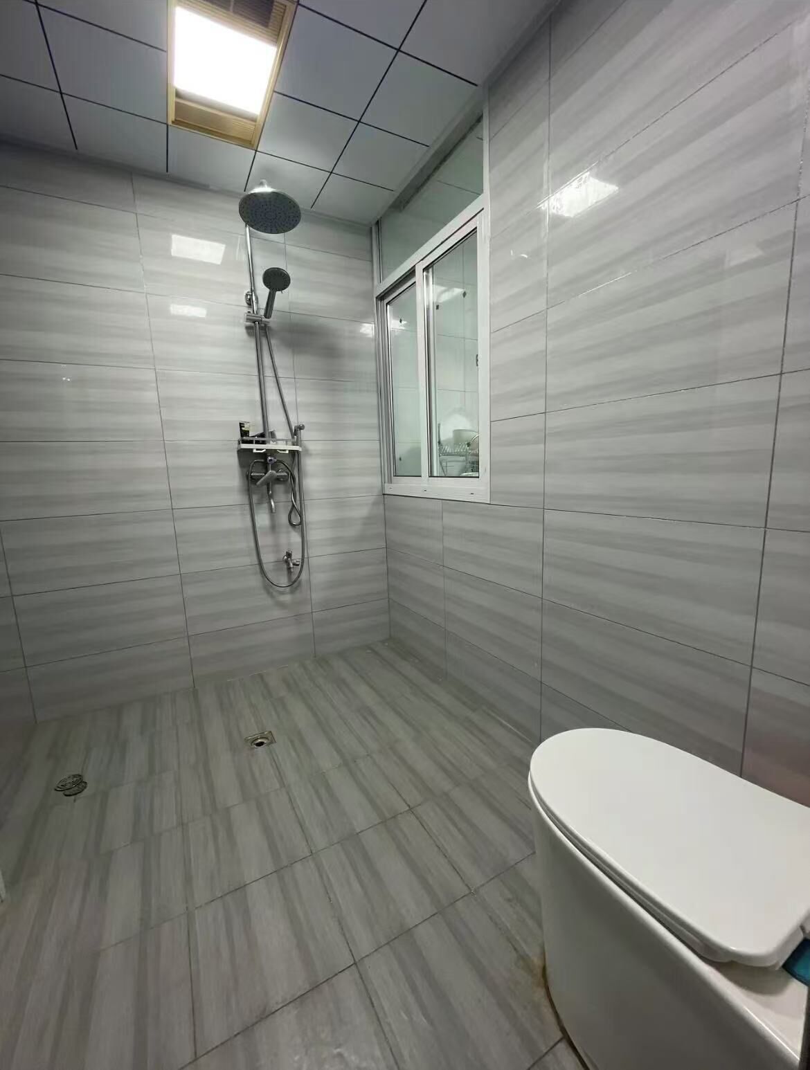 Deluxe Apartment | Bathroom | Shower, free toiletries, hair dryer, towels
