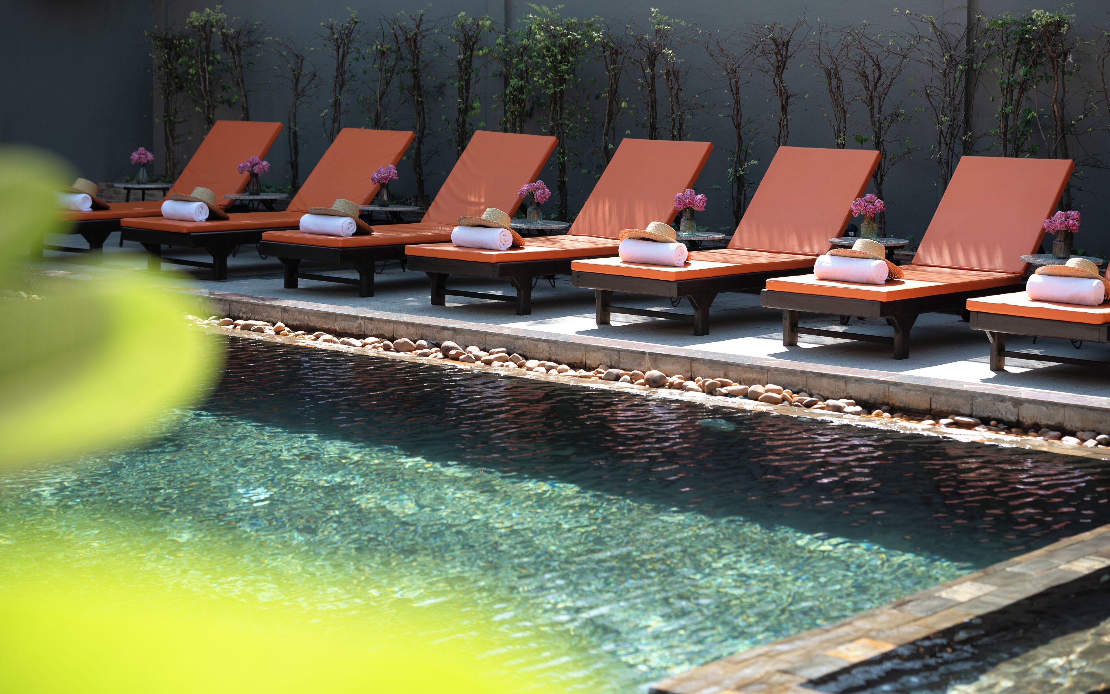 Un espace aménagé au bord de la piscine, avec des chaises longues et une eau cristalline.