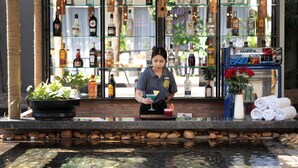 A bar area with a bartender, a variety of liquor bottles, a potted plant, and a small water feature.