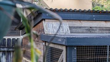 المنطقة المحيطة بالمنشأة