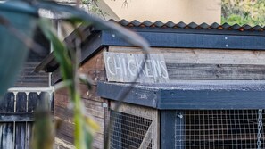 المنطقة المحيطة بالمنشأة