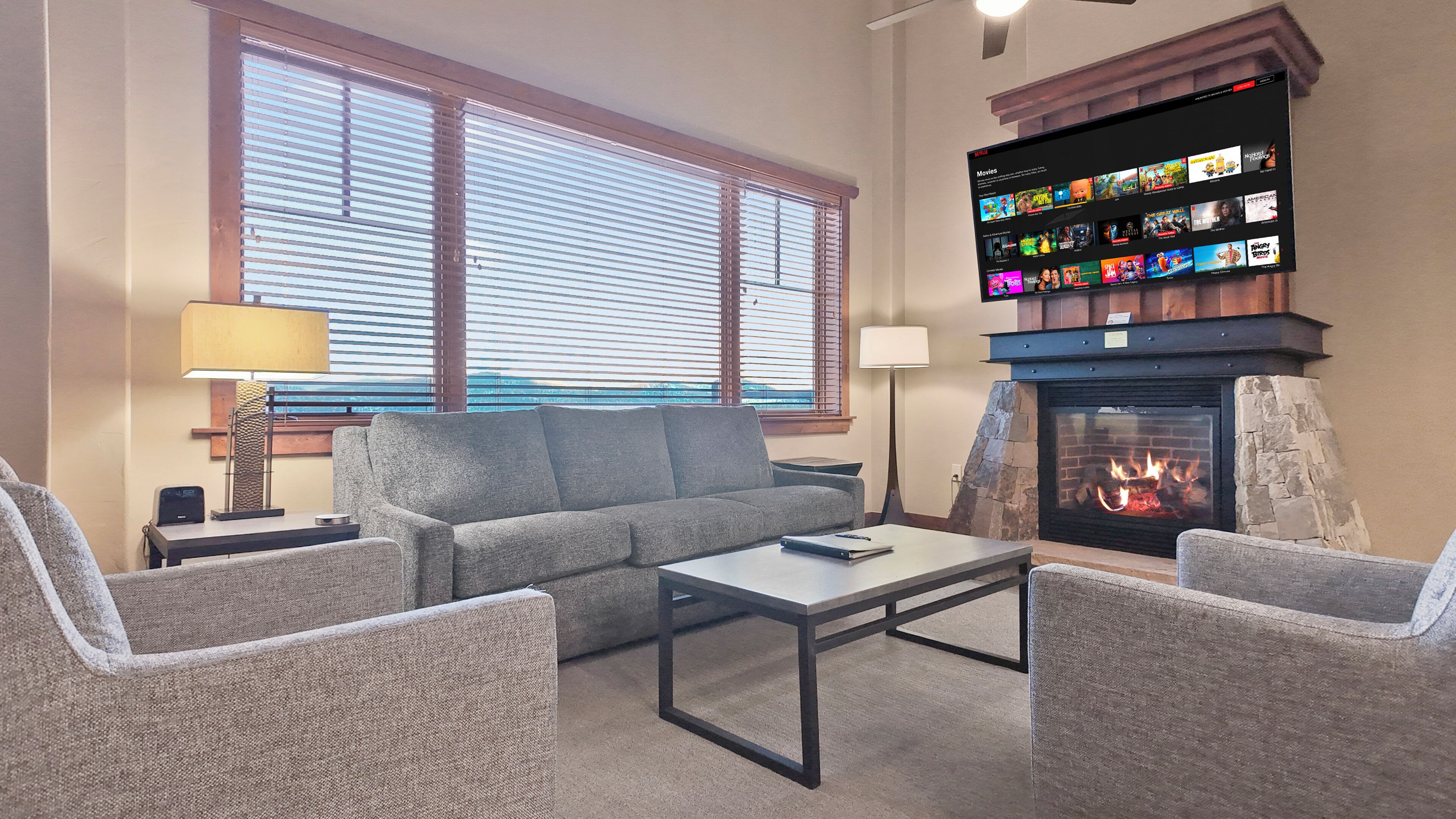 Smart TV, fireplace, books