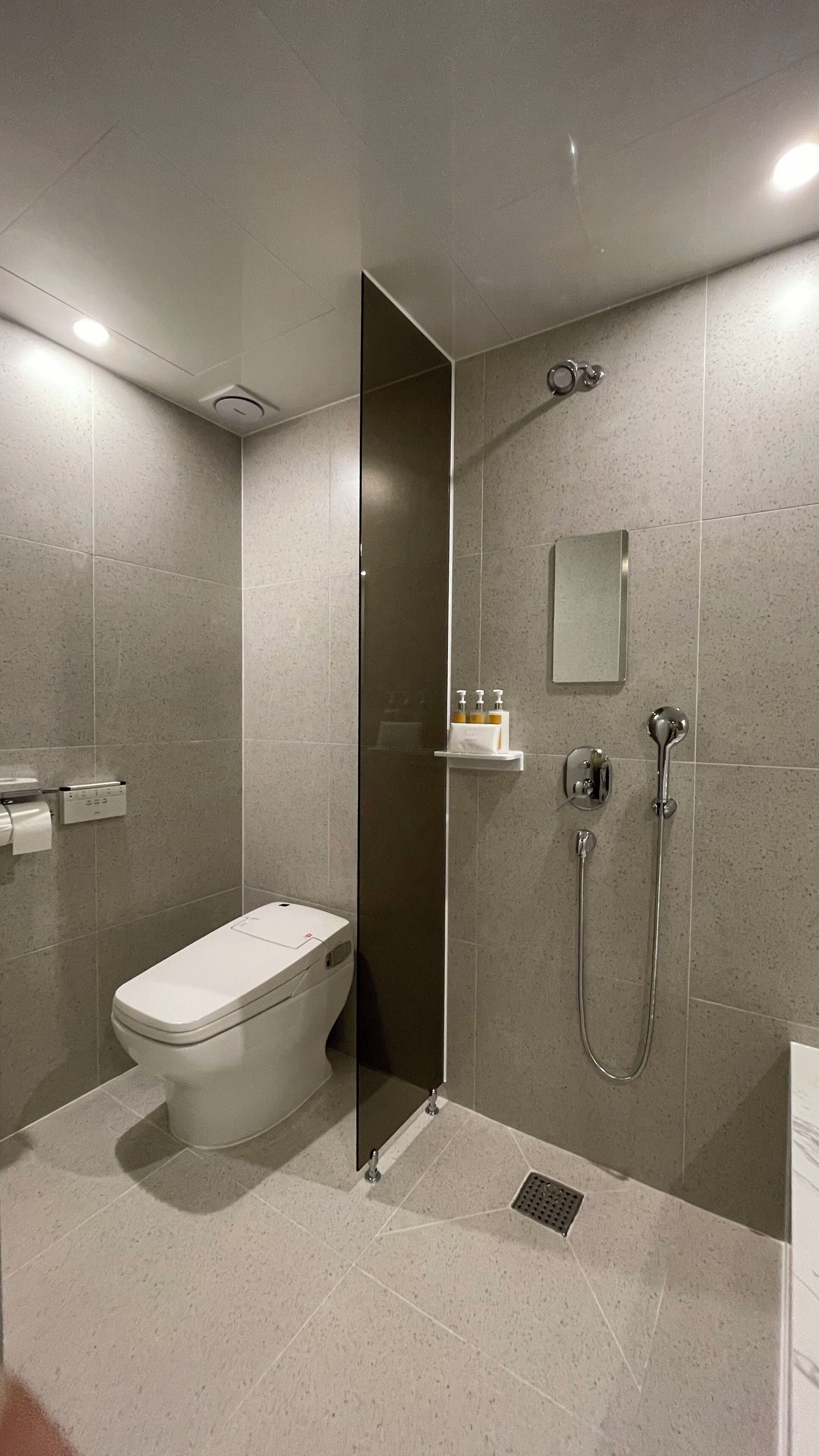 A modern bathroom with a toilet, a shower, and a sink.