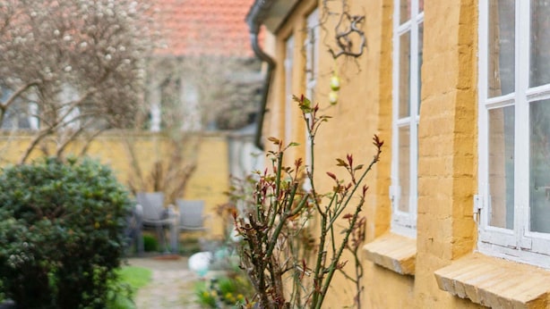 A yellow building with a red-tiled roof, a narrow pathway, and some greenery. - 5 Star Holiday Home in Ronne (Ronne)