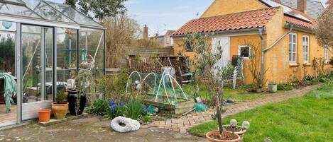 House | Property grounds