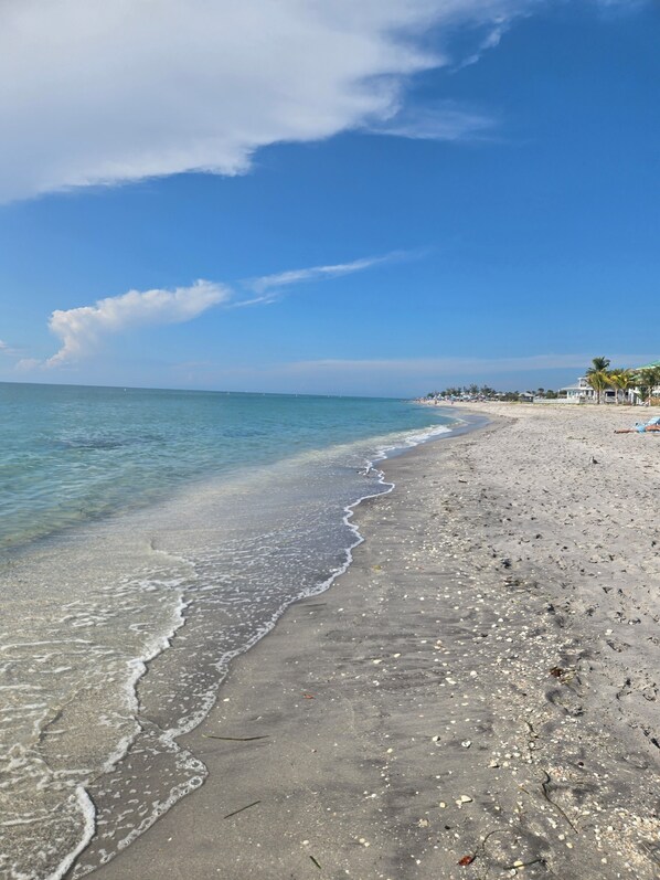 Sun-loungers, beach towels