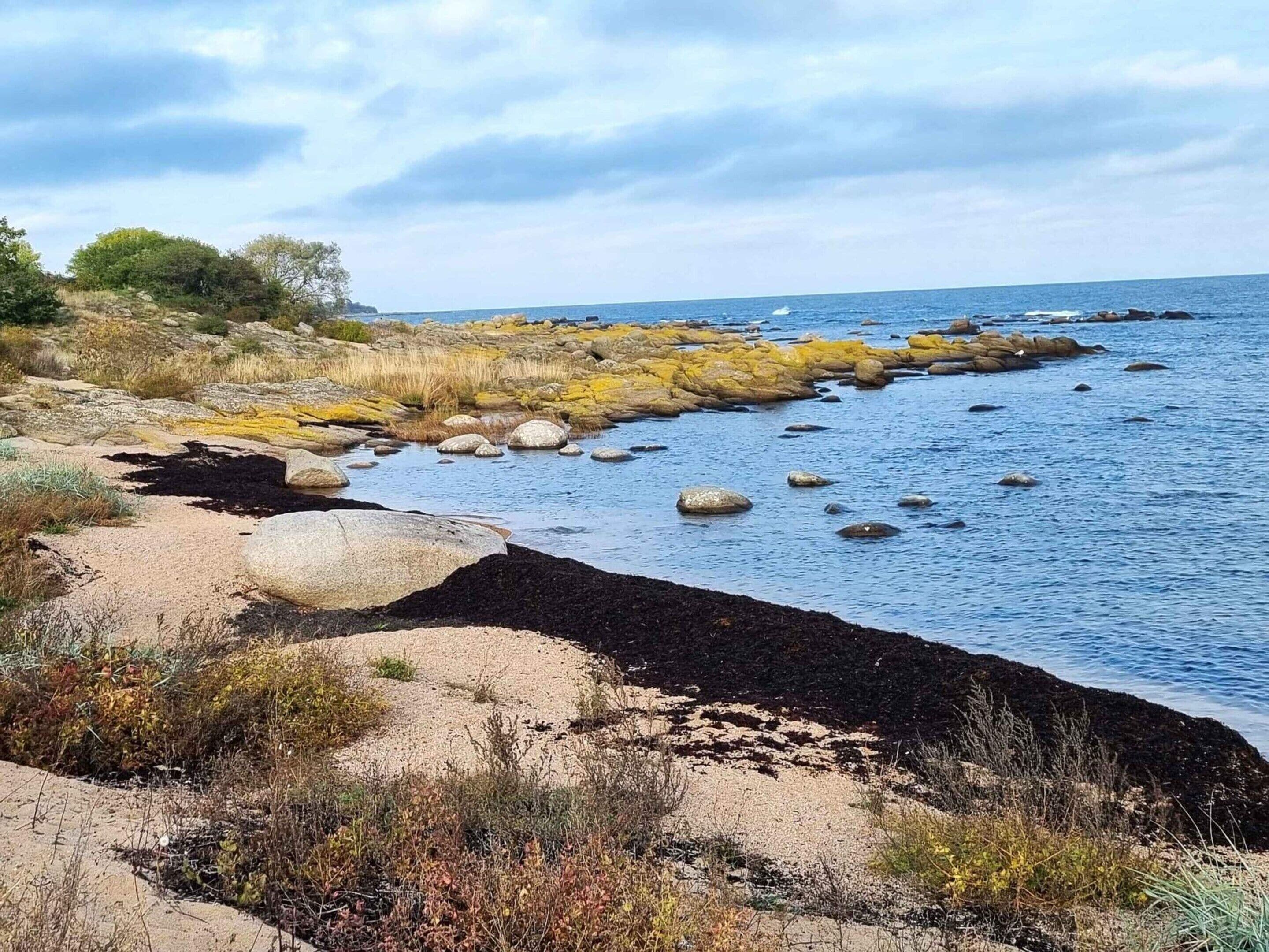 單棟房屋 | 外觀